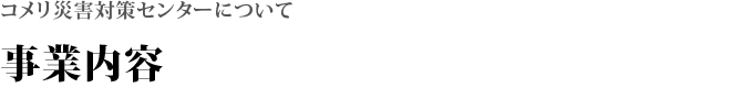 沿革