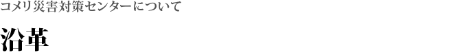 沿革