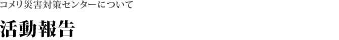 活動報告