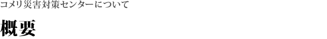 概要