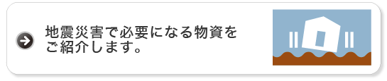 地震災害で必要になる物資