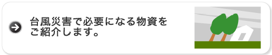 台風災害で必要になる物資