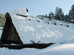 白川村鳩谷地内