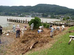 岡谷市　岡谷湖畔公園付近　諏訪湖に流れ込んだ葦などのごみの回収作業