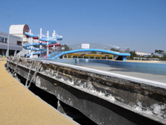 傾いた電柱（海浜公園プール内もいたるところで損害が発生ｓ）