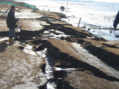 地震直後の海岸。地割れが目立つ