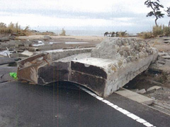 新地海岸木崎地区海岸 新地町埒木崎地内 [写真提供：福島県]