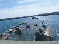 釣師浜漁港新地町 [写真提供：福島県]