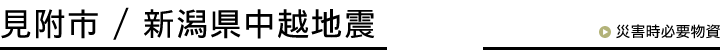�����s / �V�������z�n�k�iH16�j