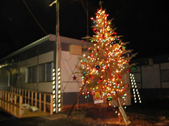仮設住宅に設置されたクリスマスツリー（明石公園　撮影日 H16.12.17）
