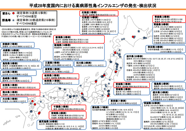 発生・検出状況