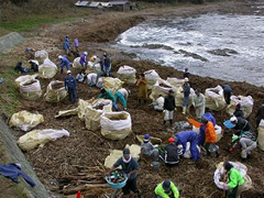 海岸に漂着した災害ごみをボランティアが清掃（竹野町切浜）