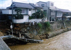 川岸を侵食した濁流
