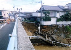 川岸を侵食した濁流