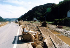 濁流による道路被害
